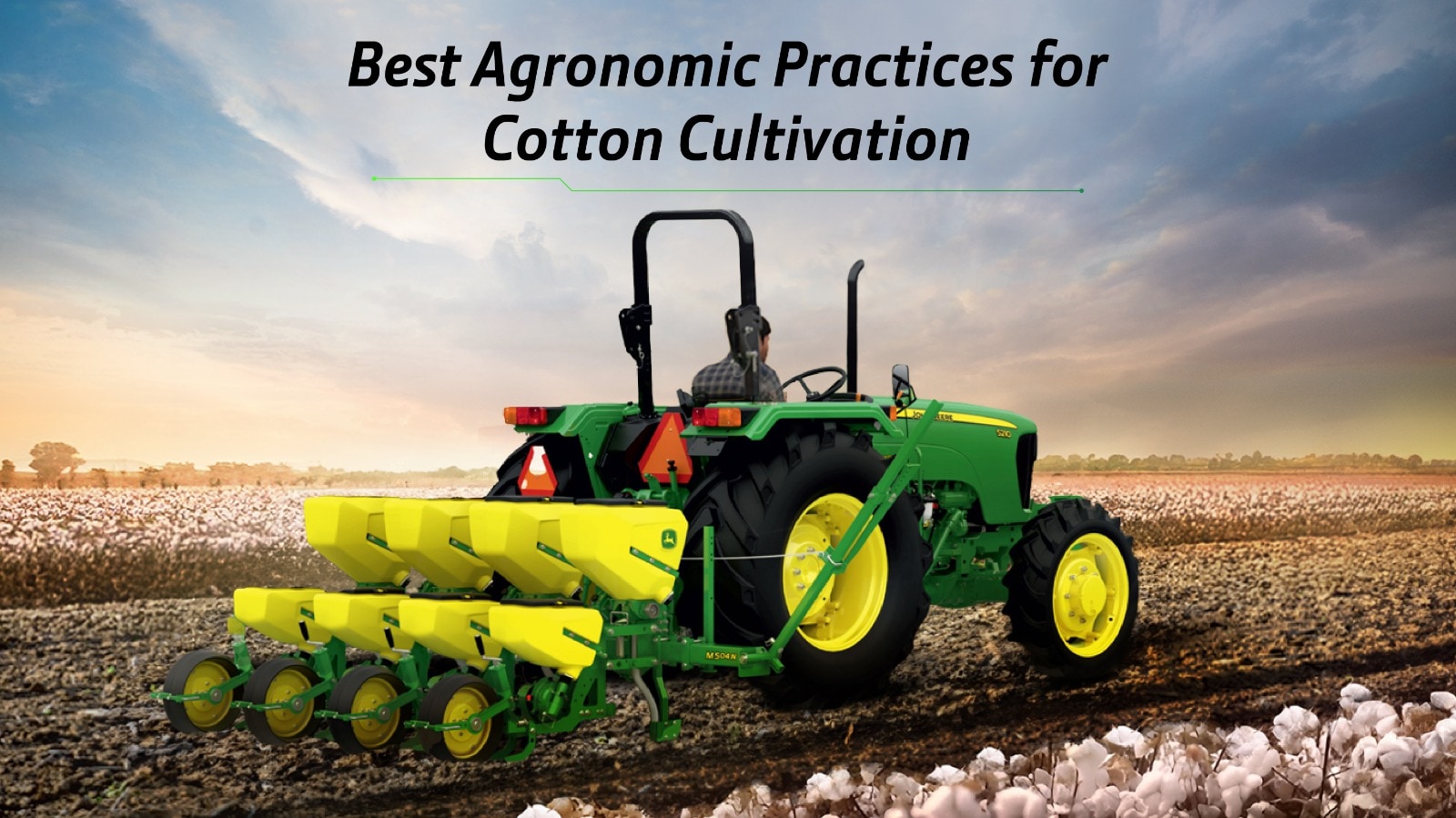 Best Agronomic Practices for Cotton Cultivation